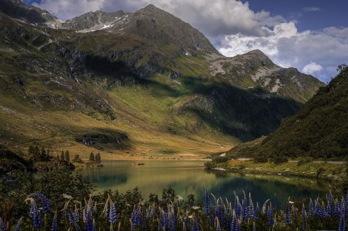 Gamta, Zeinissee, Vorarlbergas, Kempingas, Kalnai, Alpių, Gražus, Žavus, Gėlės, Ežeras, Vasara, Šventė, Žygiai