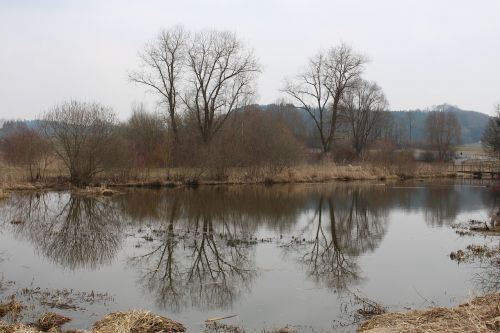 Gamta, Vandenys, Atspindys, Kraštovaizdis, Medis, Ežeras, Ruduo