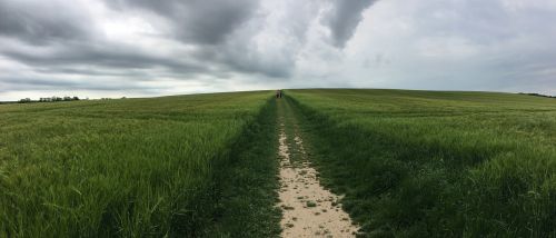 Gamta, Panoraminis, Dangus, Žolė, Lauke