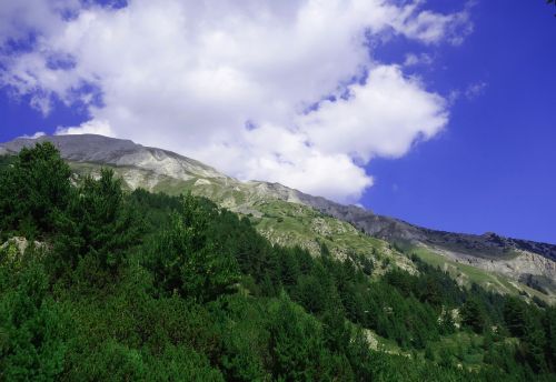 Gamta, Panoraminis, Kalnas, Dangus, Kraštovaizdis, Mediena