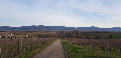 Gamta, Kraštovaizdis, Panorama, Dangus, Kelionė