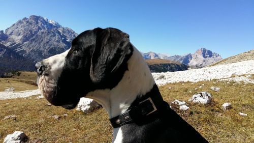 Gamta, Sniegas, Kalnas, Dolomitai, Auronzo Slėnis, South Tyrol, Puikus Dane, Trys Zinnen