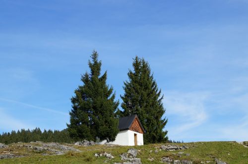 Gamta, Kraštovaizdis, Dangus, Medis