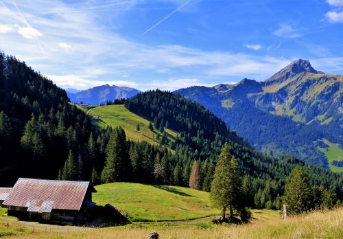 Gamta,  France,  Alpės,  Haute Savoie,  Kalnas,  Mediena,  Panoraminis,  Kraštovaizdis,  Vaizdas,  Alpių,  Be Honoraro Mokesčio