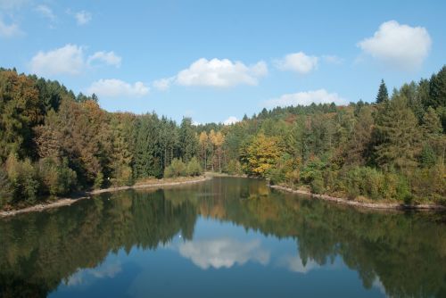 Gamta,  Vanduo,  Ežeras,  Medis,  Be Honoraro Mokesčio