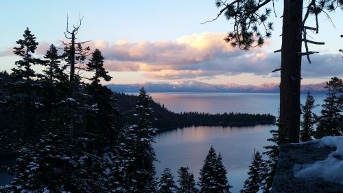 Gamta,  Medis,  Kraštovaizdis,  Mediena,  Panoraminis,  Ežeras Tahoe,  Ežeras,  Kalifornija,  Be Honoraro Mokesčio