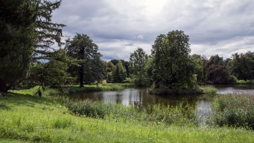 Gamta,  Medis,  Žolė,  Kraštovaizdis,  Vandenys,  Parkas,  Ežeras,  Dangus,  Vaizdingas,  Vasara,  Be Honoraro Mokesčio