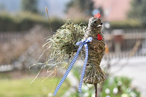 Gamta,  Žolė,  Paukštis,  Medis,  Gyvūnas,  Be Honoraro Mokesčio