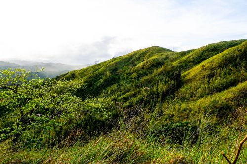 Gamta,  Kraštovaizdis,  Panoraminis,  Kalnas,  Žolė,  Lauke,  Kalnas,  Vasara,  Dangus,  Medis,  Kelionė,  Flora,  Hayfield,  Laukas,  Mediena,  Kaimas,  Slėnis,  Debesis,  Kaimas,  Be Honoraro Mokesčio