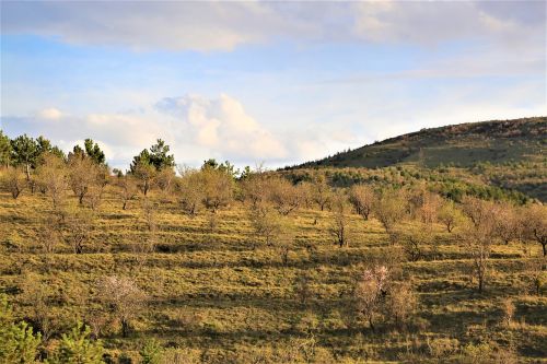 Gamta,  Žemė,  Dangus,  Lauke,  Be Honoraro Mokesčio