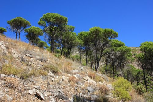 Gamta,  Medis,  Kraštovaizdis,  Dangus,  Kelionė,  Panorama,  Augalas,  Žolė,  Kalnas,  Rokas,  Vasara,  Turizmas,  Mediena,  Krūmas,  Kalnas,  Horizontalus,  Lankytinos Vietos,  Andalūzija,  Ispanija,  Be Honoraro Mokesčio