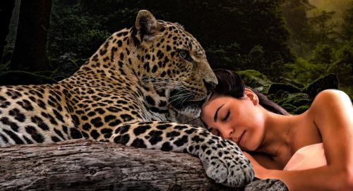 Gamta,  Leopardas,  Moteris,  Jausmingas,  Miškas,  Be Honoraro Mokesčio