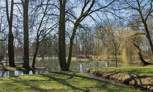 Pobūdį,  Medis,  Kraštovaizdis,  Sezonas,  Vandenys,  Žolė,  Parkas