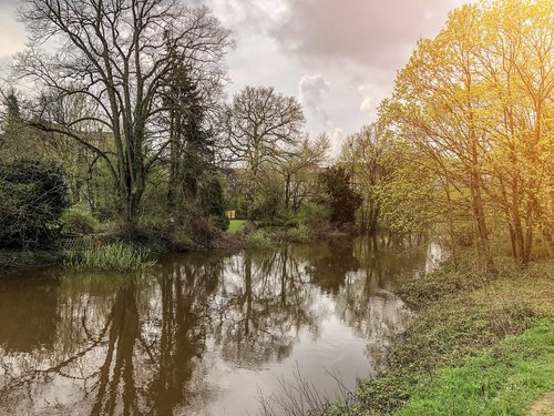 Pobūdį,  Medis,  Kraštovaizdis,  Mediena,  Sezonas,  Panorama,  Schönwetter,  Dawn,  Kaimo,  Atspindys,  Aplinka,  Parkas,  Vandenys,  Upė,  Žolė,  Ežeras