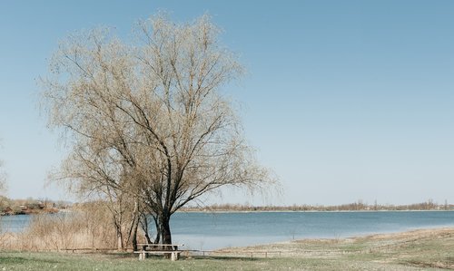 Pobūdį,  Medis,  Kraštovaizdis,  Žiemos,  Dangus,  Vasara