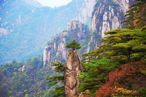 Pobūdį,  Mediena,  Kalnų,  Kraštovaizdis,  Medis,  Huangshan,  Kinija