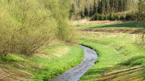 Pobūdį,  Žolė,  Kraštovaizdis,  Medis