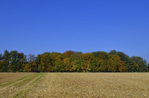 Pobūdį,  Panorama,  Kraštovaizdis,  Dangus,  Medis