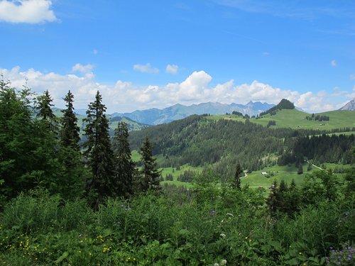 Pobūdį,  Kraštovaizdis,  Jura,  Dangus,  Mediena