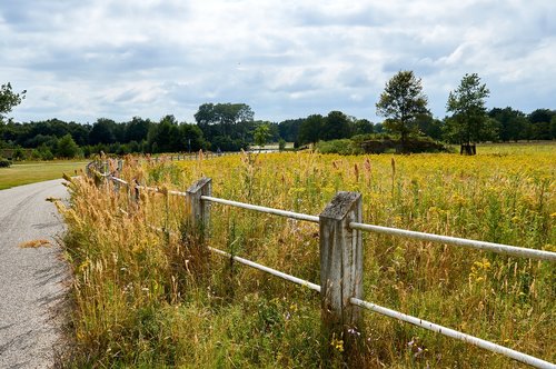 Pobūdį,  Parkas,  Kraštovaizdis,  Vasara