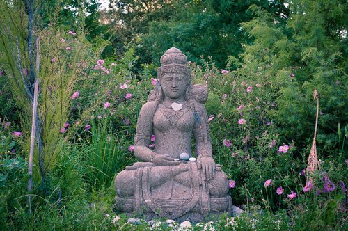 Pobūdį,  Buda,  Meditacija