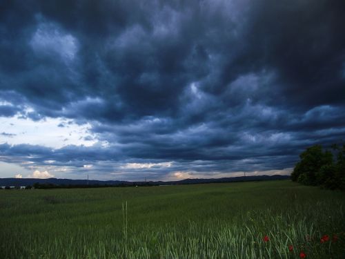 Gamta, Kraštovaizdis, Žalias, Gėlė, Žiedas, Žydėti, Augalas, Aguona, Žolė, Pieva, Saulės Šviesa, Pavasaris, Saulėta Diena, Šviesa, Sodas, Raudona, Nuotaika, Dangus, Debesys, Mėlynas