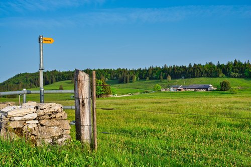 Pobūdį,  Takas,  Šveicarija,  Žygiai,  Kraštovaizdis,  Promenade,  Nuotykių,  Veikla,  Miško Kelias,  Kelias,  Žolė,  Kalnai,  Panorama,  Nuotaika,  Kelionė,  Laukas