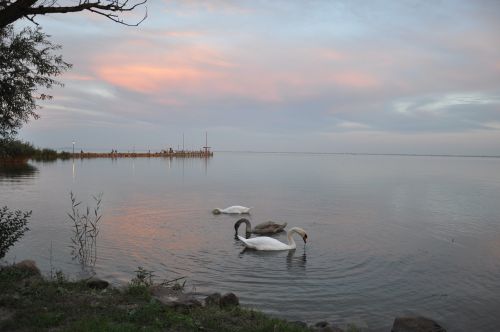 Gamta, Balaton Ežeras, Ežeras, Vanduo