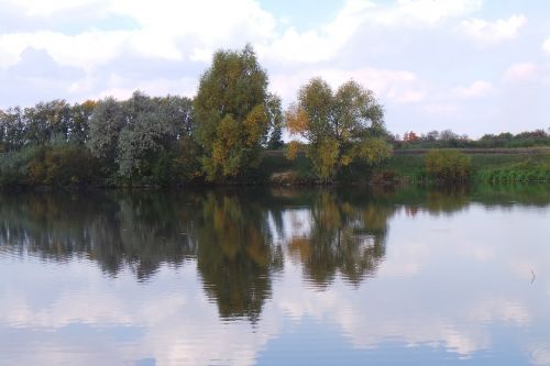 Gamta, Tvenkinys, Ežeras, Atspindys, Medžiai, Pokoj, Diena, Vasara, Rusija