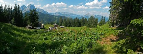 Gamta, Kalnai, Alpės