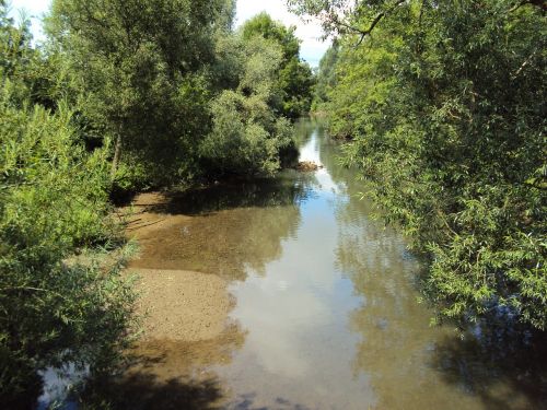 Gamta, Vanduo, Miškas