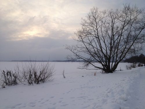 Gamta, Žiema, Švedija