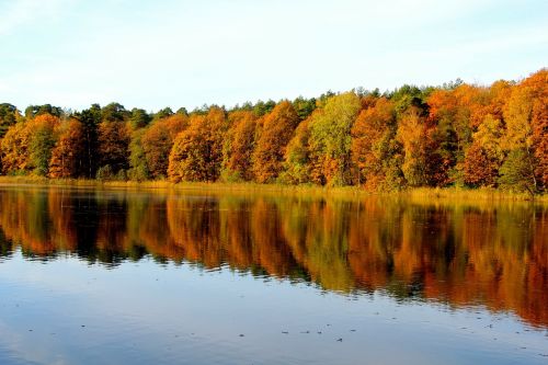 Gamta, Ruduo, Medžiai, Ežeras, Krumme Lanke