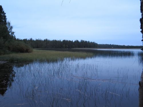 Gamta, Ežeras, Finland, Mėlynas, Vanduo, Kraštovaizdis
