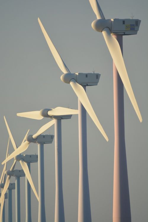 Gamta, Vėjo Malūnai, Nyderlandai, Vėjo Energija, Vaizdas, Dagtai, Žalioji Energija, Alternatyvi Energija, Vėjo Jėgainių Parkas