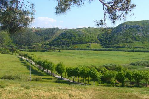 Gamta,  Kraštovaizdis,  Medžiai,  Kalnas