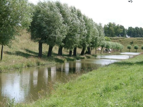 Gamta, Medžiai, Vanduo, Natūralus Vanduo, Holland