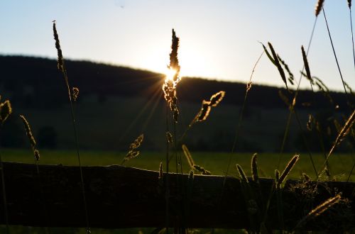 Gamta,  Kraštovaizdis,  Saulė,  Vasara,  Šumava