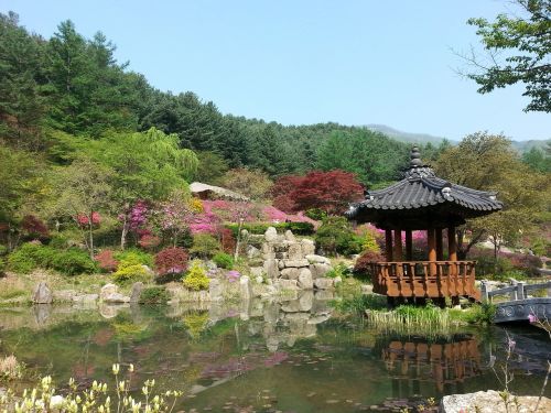 Gamta,  Sodas,  Parkas,  Pavasaris,  Gėlės,  Asian Sodas,  Belvedere