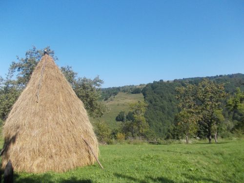 Gamta, Kraštovaizdis, Kalnas