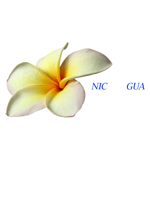 Gamta, Gėlės, Dizainas, Nikaragva, Sacuanjoche