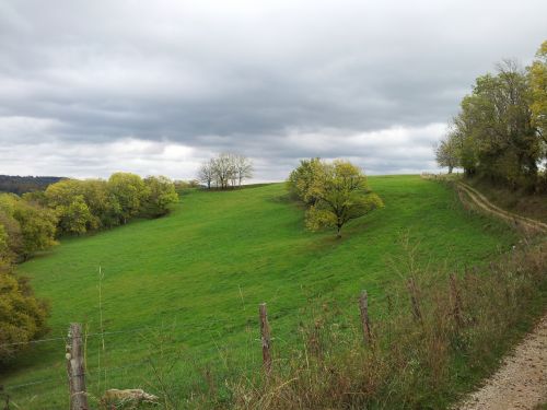 Laukai,  Gamta,  Aveyron,  Gamta (Aveyron)