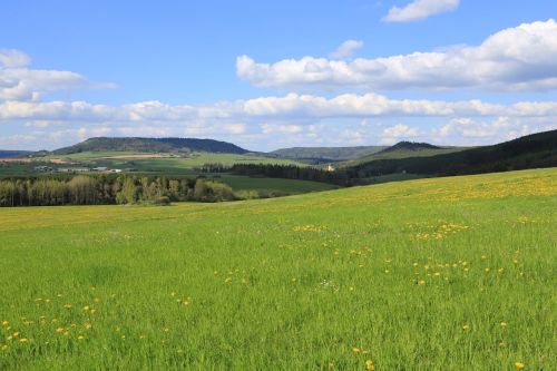 Nečtiny, Panorama, Kraštovaizdis, Vasara