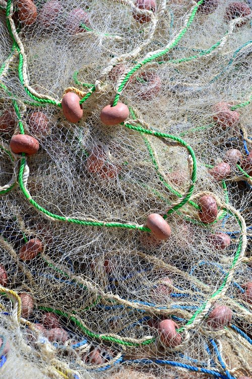 Interneto,  Žvejybos Tinklas,  Žvejyba