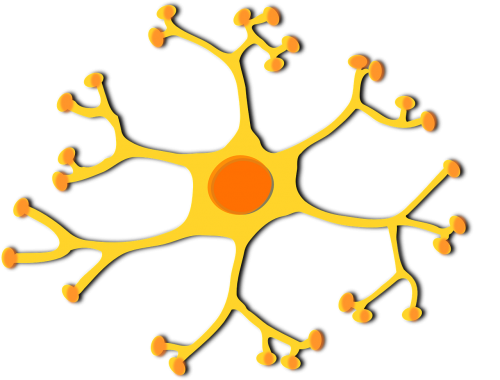 Neuronas, Ląstelė, Branduolys, Dendritai, Aksonai, Ratas, Smegenys, Biologija, Nemokama Vektorinė Grafika