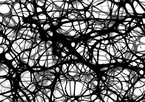 Neuronai, Proto Ląstelės, Smegenų Struktūra, Smegenys, Tinklas, Wattle, Verpalai, Audinys, Akių Gamykla, Integracija, Mazgas, Įsibrovimas, Tinklelis, Kilpa, Diržas, Mygtukas