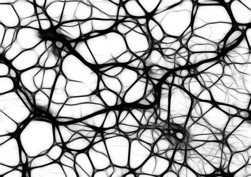 Neuronai, Proto Ląstelės, Smegenų Struktūra, Smegenys, Tinklas, Wattle, Verpalai, Audinys, Akių Gamykla, Integracija, Mazgas, Įsibrovimas, Tinklelis, Kilpa, Diržas, Mygtukas