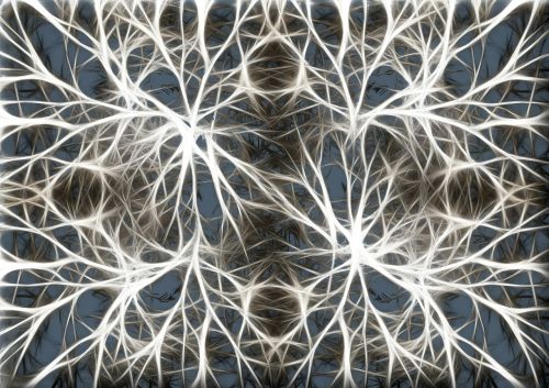 Neuronai, Proto Ląstelės, Smegenų Struktūra, Smegenys, Tinklas, Wattle, Tinklelis, Verpalai, Audinys, Akių Gamykla, Integracija, Mazgas, Įsibrovimas, Kilpa, Diržas