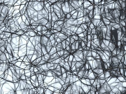 Neuronai, Proto Ląstelės, Nachahmnung, Smegenų Struktūra, Smegenys, Tinklas, Wattle, Verpalai, Audinys, Akių Gamykla, Integracija, Mazgas, Įsibrovimas, Kilpa, Diržas, Mygtukas, Tinklelis