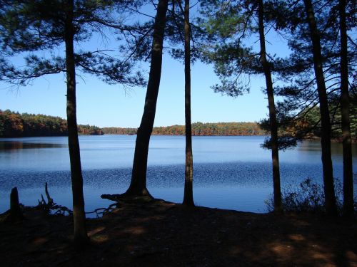 Naujoji Anglija, Ežeras, Ramybė, Medžiai, Ramus, Massachusetts